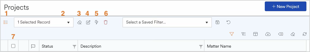 User interface showing project selection and filtering options in a software application.
